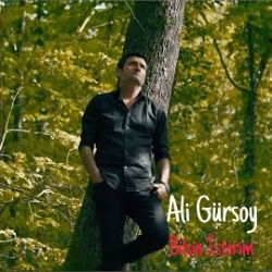 Ali Gürsoy Bilsin İsterim