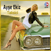 Ayşe Ekiz Taksici