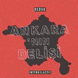 Ankaranın Delisi