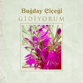 Gidiyorum