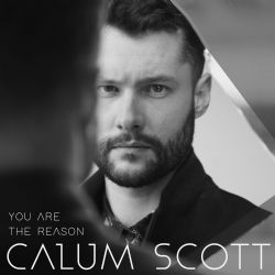 Calum Scott You Are The Reason