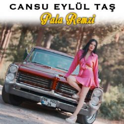 Cansu Eylül Taş Pala Remzi