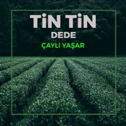 Tin Tin Dede