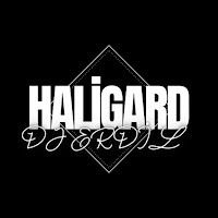 Dj Erdil Haligard