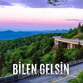 Bilen Gelsin