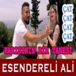 Esendereli Ali Çat Çat