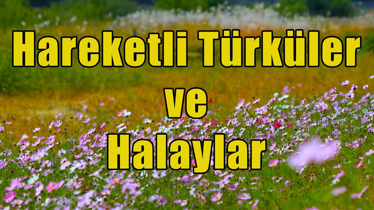 Halaylar Hareketli Türküler