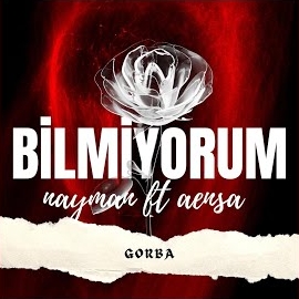 Bilmiyorum