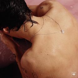 Harry Styles Sweet Creature