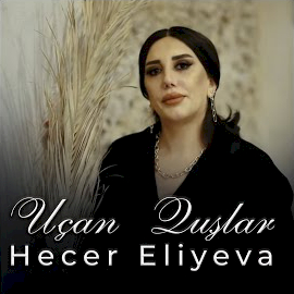 Uçan Quşlar