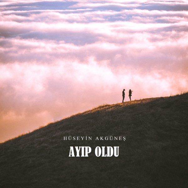 Ayıp Oldu