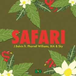 Safari