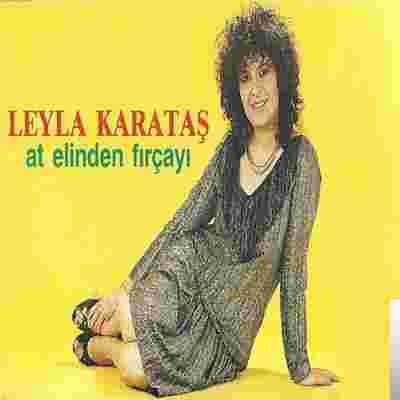 Leyla Karataş At Elinden Fırçayı