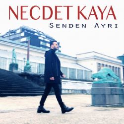 Senden Ayrı