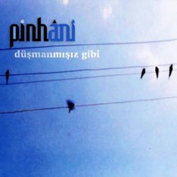 Pinhani Düşmanmışız Gibi