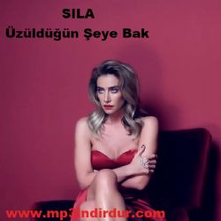 Üzüldüğün Şeye Bak