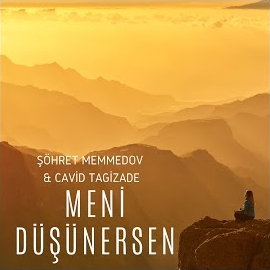 Meni Düşünersen