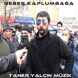 Taner Yalçın Gebeş Kaplumbağa