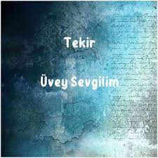 Tekir Üvey Sevgilim