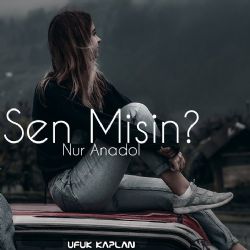 Sen Misin