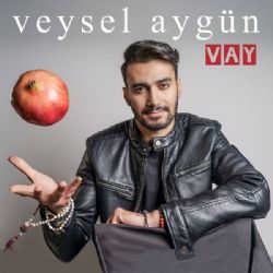 Veysel Aygün Vay