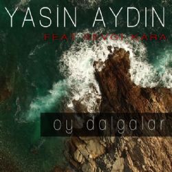 Yasin Aydın Oy Dalgalar